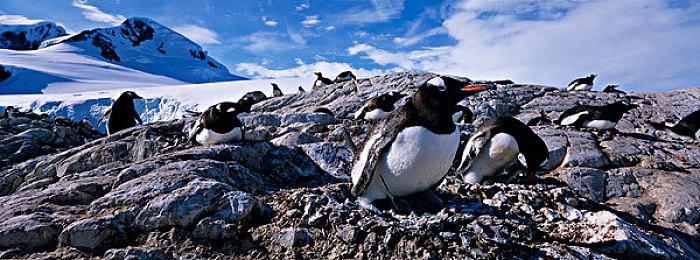 音乐节奏游戏《Sixtar Gate: STARTRAIL》NS版 明年3月发售