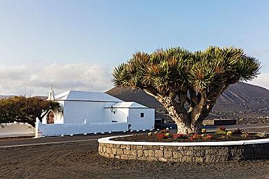 顽皮狗尼尔透露新项目已开发4年 何时公布由索尼决定